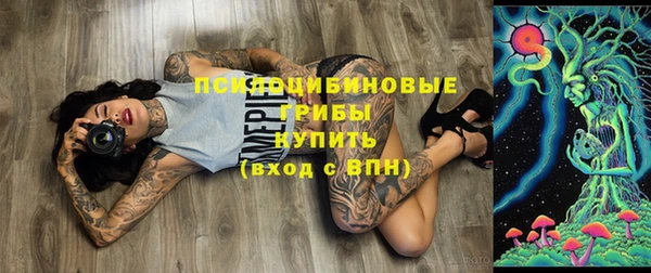 метадон Арсеньев