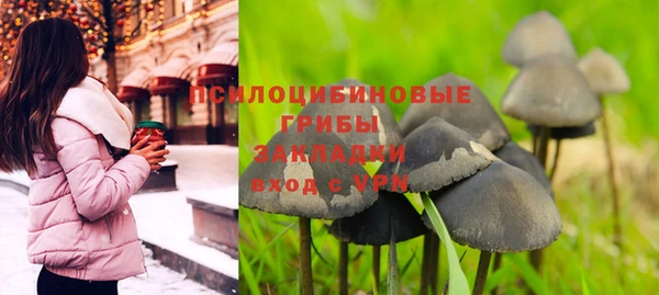 метадон Арсеньев